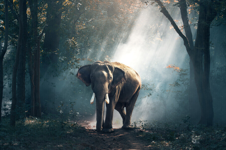 Profiles Image